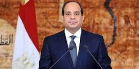 الرئيس السيسى: اتفقت مع الرئيس عثمان غزالى على الحفاظ على المواقف الأفريقية الموحدة إزاء مختلف القضايا الدولية