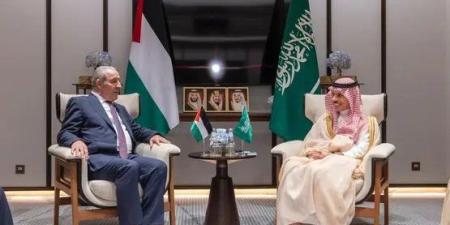 وزير الخارجية السعودي يبحث مع نائب الرئيس الفلسطيني تطورات الأوضاع في فلسطين