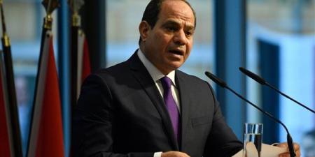 وزير الخارجية: الرئيس السيسي يقود جهوداً دبلوماسية لوقف العدوان على غزة وإيصال المساعدات