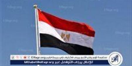 مصر تدين استمرار انتهاكات الاحتلال الإسرائيلي ضد المدنيين الفلسطينيين