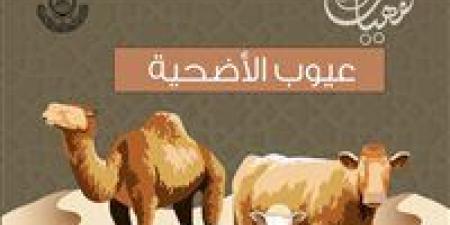 ما العيوب التي تمنع صحة الأضحية؟ الأزهر للفتوى يجيب
