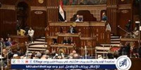 مجلس الشيوخ يوافق على تقرير خطة التنمية الاقتصادية لعام 2025/2026