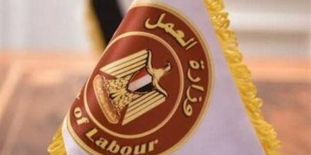 تطبيق الحد الأدنى للأجور.. وزير العمل يوجه "المُديريات" بالمُتابعة حتى استلام "الفرص"