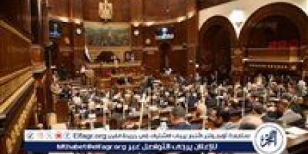 اليوم.. مجلس الشيوخ يُحيل عددًا من تقارير اللجان النوعية إلى الحكومة لتنفيذ توصياتها