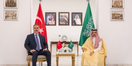 وزير الخارجية ونظيره التركي يترأسان اجتماع المجلس التنسيقي بين البلدين