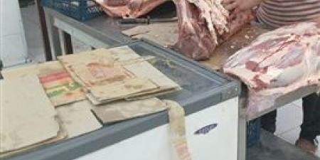 استعدادات تموين الإسكندرية لاستقبال عيد الأضحى المبارك