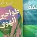 معرض الكتاب 2025.. "طواحين الهوى" رواية جديدة للسيد العديسي