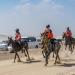 مهرجان سلطان بن زايد للقدرة يستأنف فعالياته