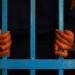 القبض على 3 طلاب لتحرشهم بزميلتهم وتصويرها بالقليوبية