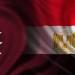 مصر وقطر: مستمرون فى جهود الوساطة بقطاع غزة بالتنسيق مع الولايات المتحدة الأمريكية