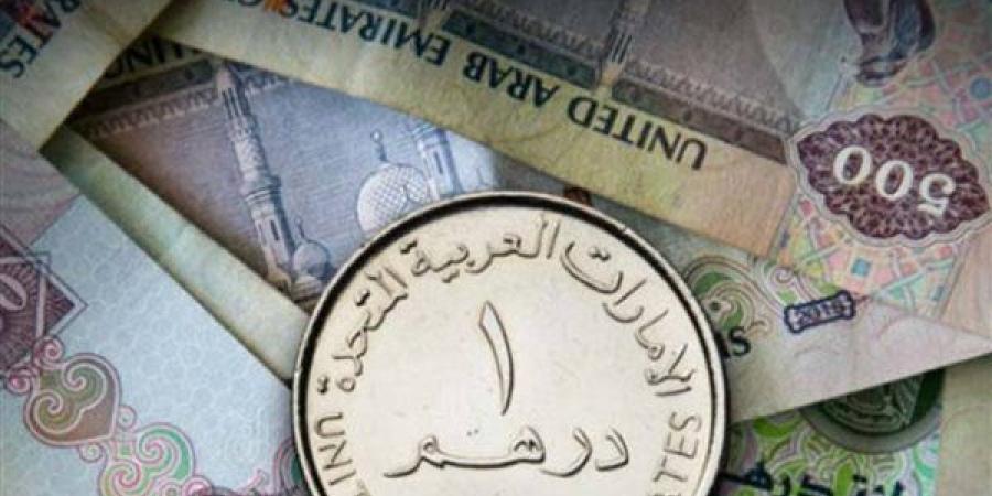 استقرار سعر الدرهم الإماراتي اليوم أمام الجنيه المصري