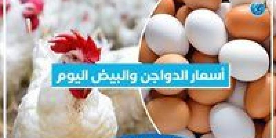 أسعار الدواجن والبيض اليوم الثلاثاء 10-12-2024 بمحافظة البحيرة