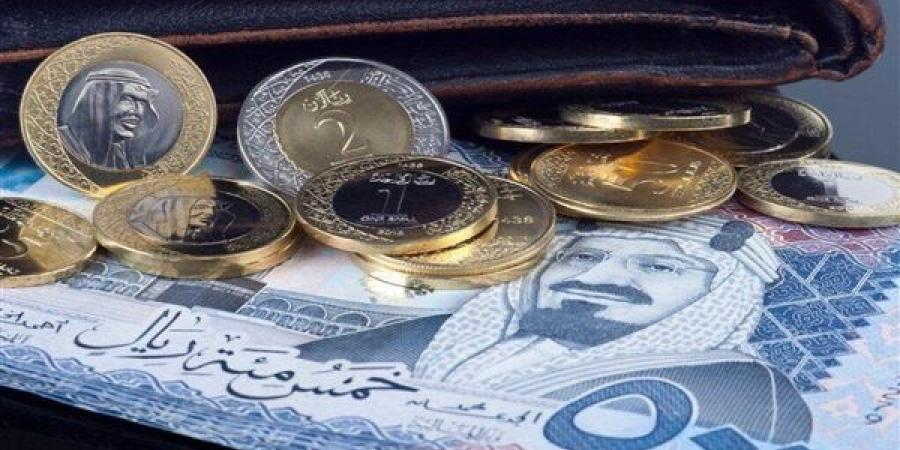 سعر الريال السعودى اليوم الثلاثاء 10 ديسمبر 2024 فى مصر مقابل الجنيه