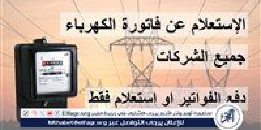 خطوات قراءة العداد ودفع فاتورة الكهرباء 2024