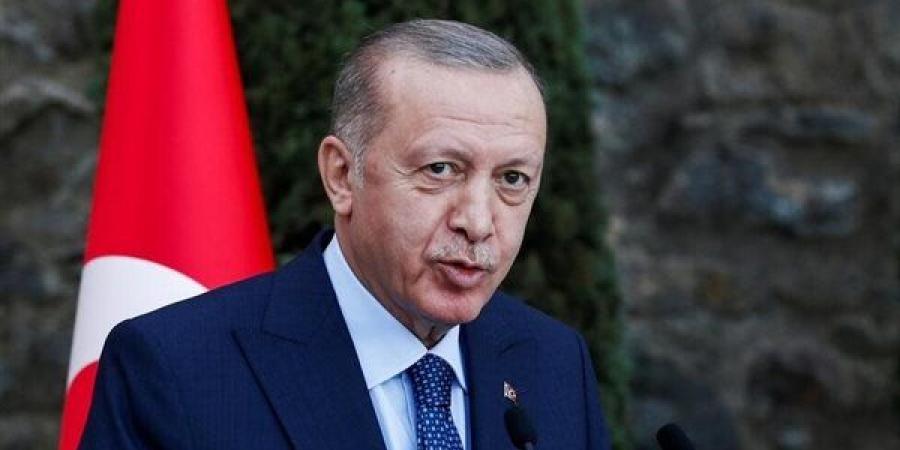 أردوغان: سوريا بحاجة للدعم من الأمم المتحدة والمؤسسات الدولية