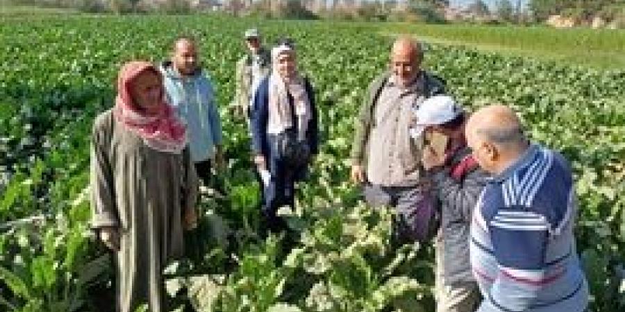 البحوث الزراعية يستعرض حصاد أنشطة مبادرة المراكز الإرشادية الزراعية خلال النصف الأول من شهر ديسمبر 2024