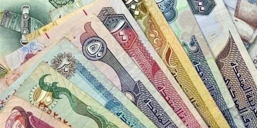 تفاصيل سعر صرف الدرهم الإماراتي مقابل الجنيه المصري