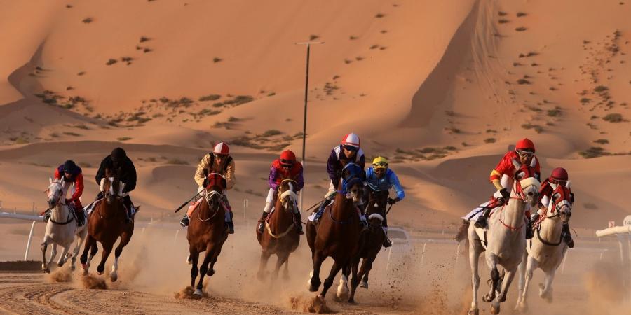 «العريق» و«شامخ» بطلا الخيول العربية في مهرجان ليوا الدولي