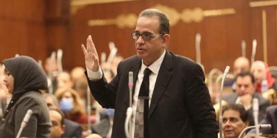 برلماني: هدف أي حزب أن يصل بنشاطه وأعماله وقياداته للحكم