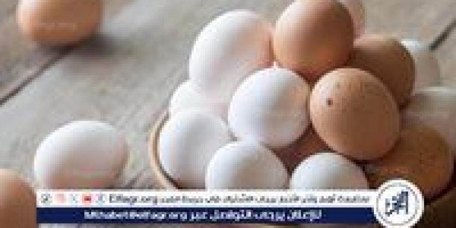 اسعار البيض اليوم السبت 28-12-2024 في الدقهلية