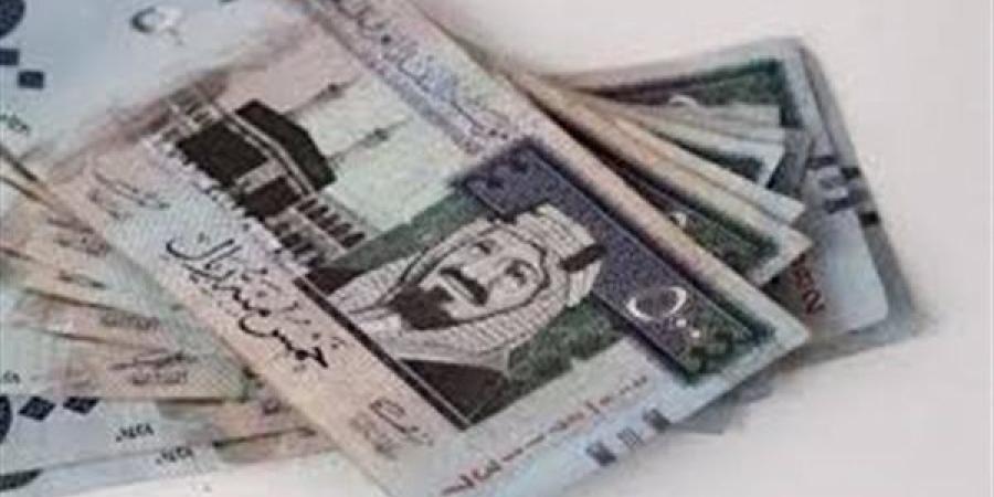 سعر الريال السعودي اليوم في السوق المصري - الأحد 29 ديسمبر 2024