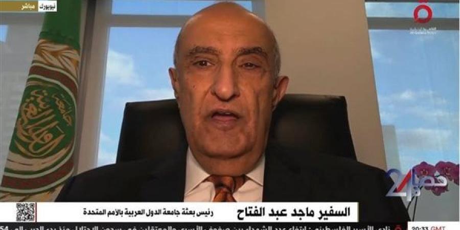 السفير ماجد عبد الفتاح: مصر تقود الجهود العربية لتهدئة الصراعات في المنطقة