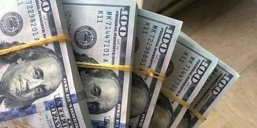 سعر الدولار مقابل الجنيه اليوم الأربعاء 1-1-2025 في بداية التعاملات