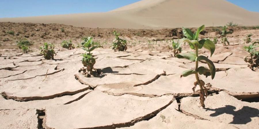 متخصصون: النهج التقليدي بمعالجة التحديات البيئية لم ينجح