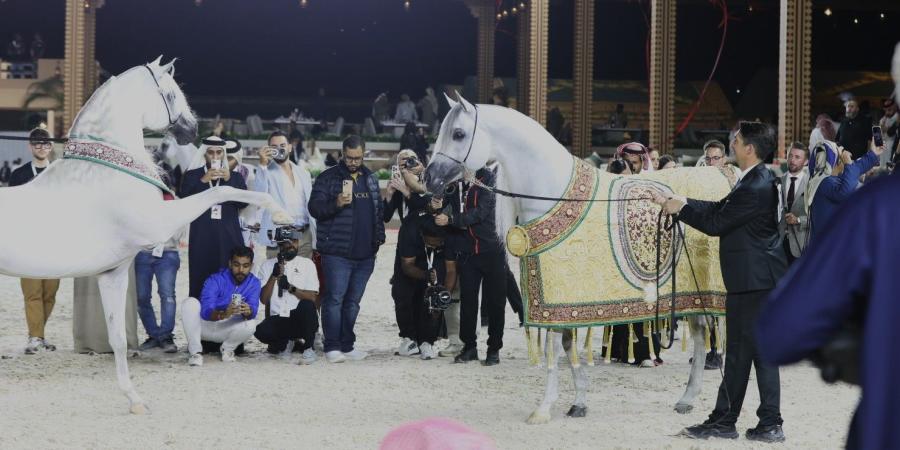 مربط دبي يتألق في جولة الجياد العربية الأولى