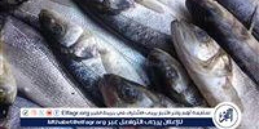 أسعار السمك البلطي والبوري اليوم الجمعة 10-1-2024 في محافظة قنا