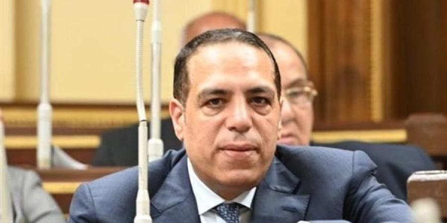 نائب: "الإخوان" أعلنت الحرب على مصر عبر منظومة الشائعات والأكاذيب