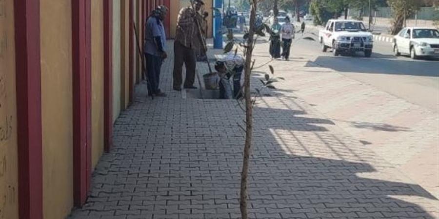 محافظ أسيوط: مواصلة زراعة الأشجار ورفع المخلفات بحي غرب أسيوط