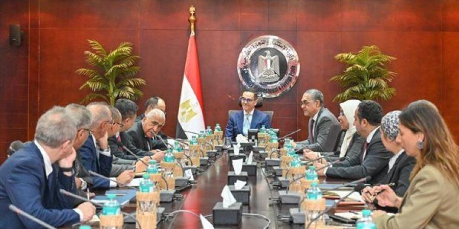 وزير الاستثمار يلتقي رئيسي شركتي بروميتون تاير مصر وCNRC الصينية