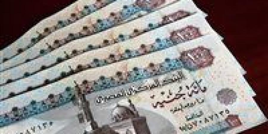 "متوفر".. مواعيد صرف مرتبات يناير وفبراير 2025