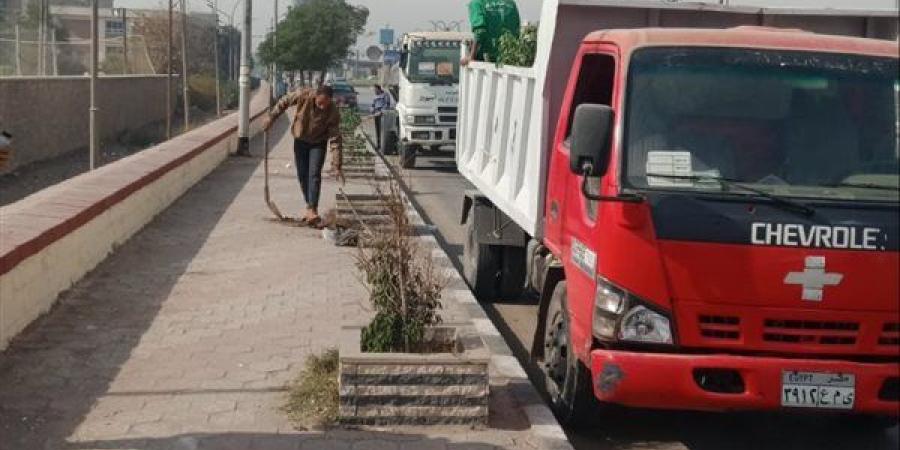 محافظ أسيوط: زراعة الأشجار بالطريق الدائري بحي غرب