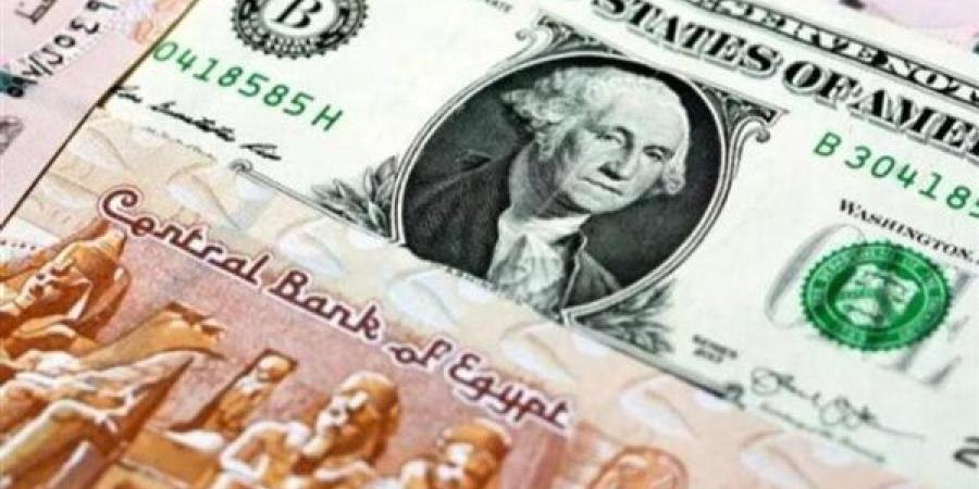 أسعار الدولار فى البنوك اليوم السبت 18 يناير 2025