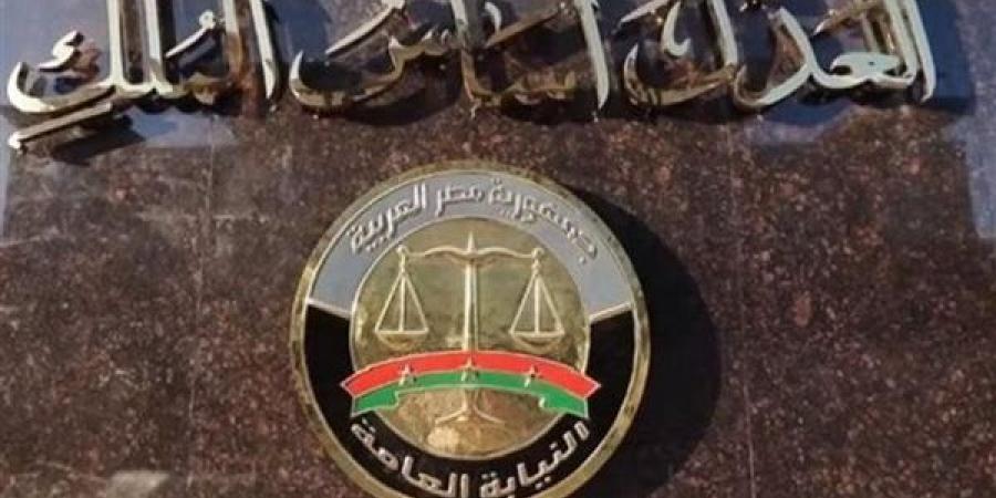 مرافعة النيابة العامة فى قضية مقتل نجل سفير بالشيخ زايد (فيديو)