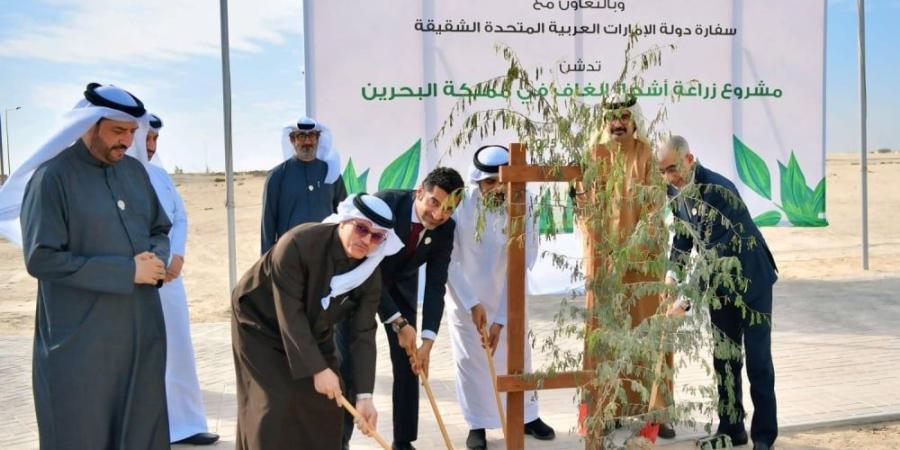 وزارة شؤون البلديات والزراعة تدشن زراعة أشجار الغاف في مدينة خليفة