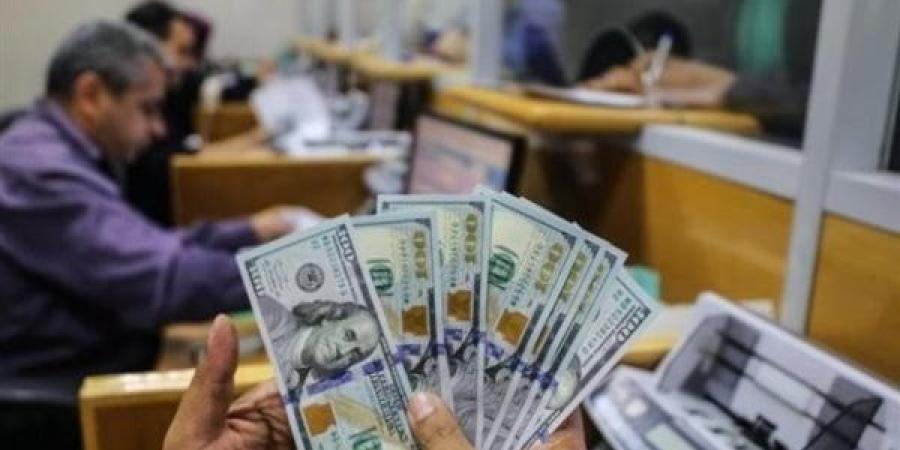 سعر الدولار الآن في البنك المركزي المصري: تحديث مباشر