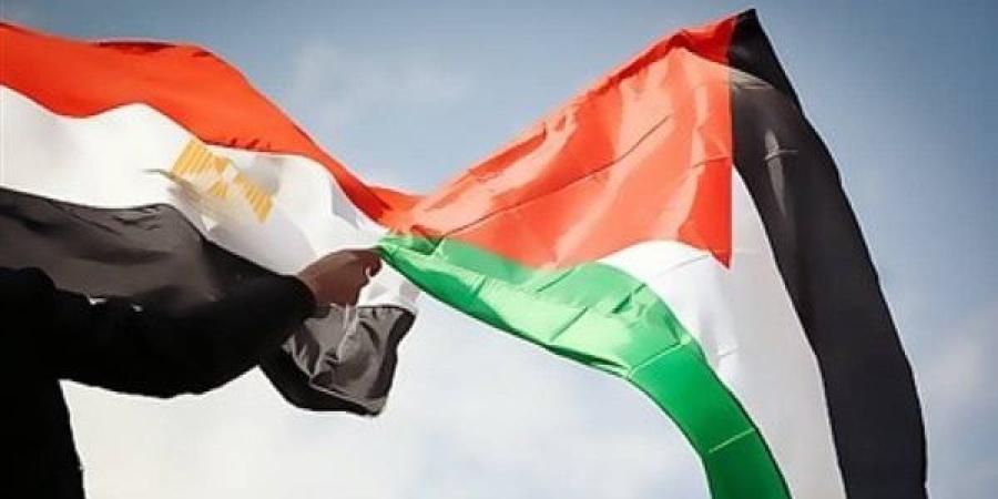 "تحالف العمل الأهلى" يشيد بموقف مصر الداعم للقضية الفلسطينية