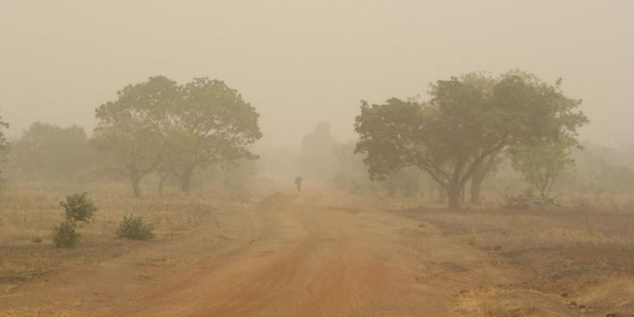 طقس الجمعة.. أمطار خفيفة ورياح مثيرة للأتربة على أجزاء من 6 مناطق