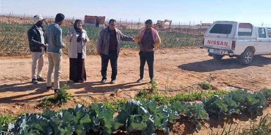 ‏فرق بحثية من "بحوث الصحراء" تقدم الدعم الفني والإرشادي للمزارعين في سيناء