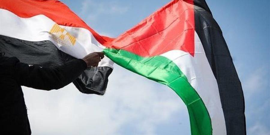 كيف واجهت مصر محاولة تصفية "القضية الفلسطينية" على مدار عقود؟