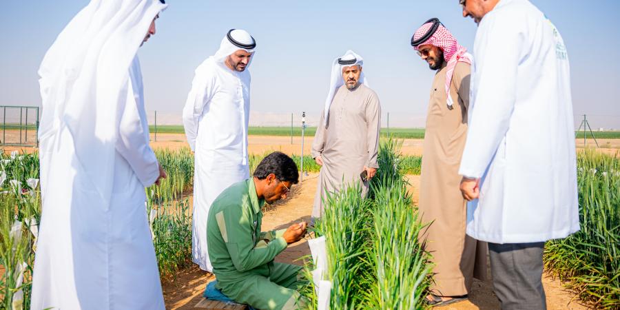 وفد حكومي يطلع على استراتيجية تحسين القمح بالشارقة