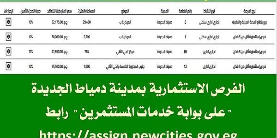 ننشر أهم الفرص الاستثمارية في مدينة دمياط الجديدة