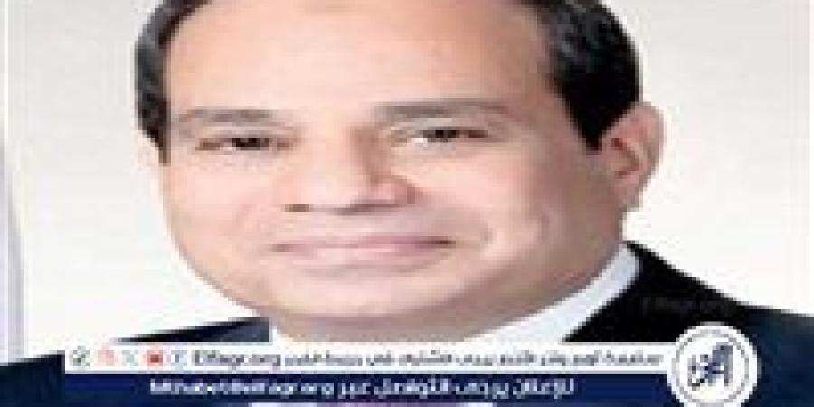 السيسي يؤكد ضرورة التنفيذ الكامل لوقف إطلاق النار في غزة وبدء إعادة الإعمار