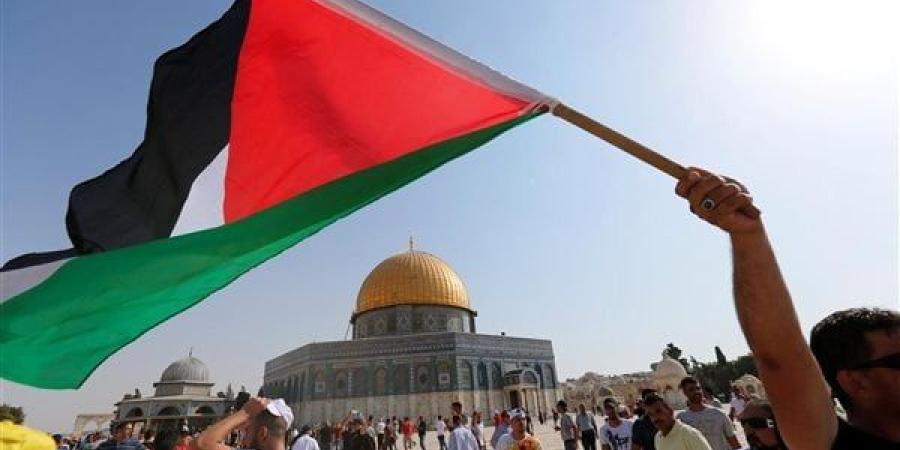 السعودية تؤكد على موقفها الثابت تجاه القضية الفلسطينية.. "القاهرة الإخبارية" تكشف التفاصيل