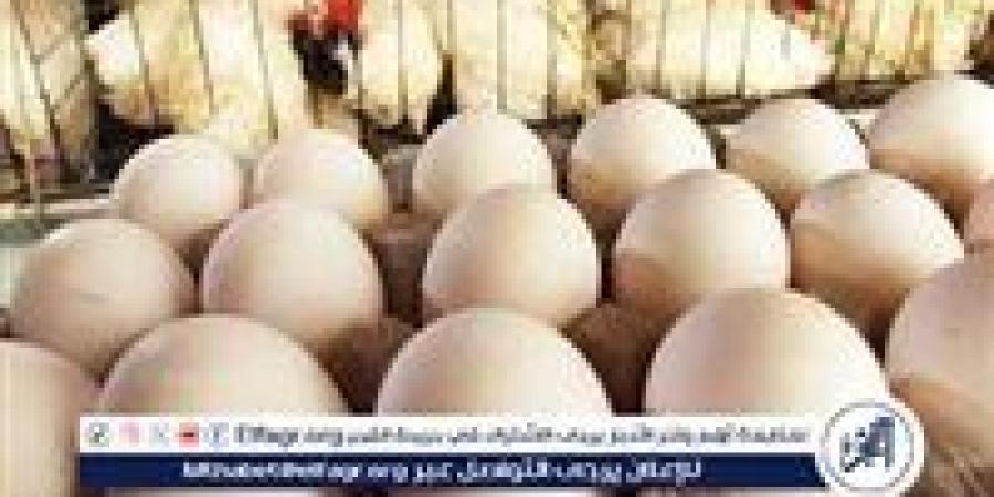 اسعار الدواجن اليوم الجمعة 7-2-2025 في الدقهلية