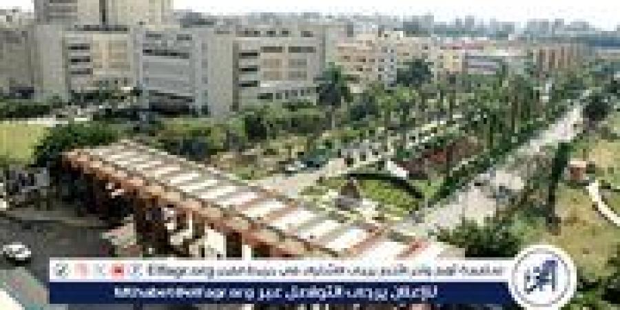 جامعة المنصورة تستقبل الفصل الدراسي الثاني للعام الجامعي 2024-2025