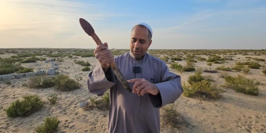 كنز الصحراء الحلو والمر...  مرتادو البر يتحدثون عن فوائد ”الطرثوث“